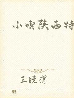 小吃陕西特产