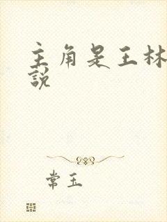 主角是王林的小说
