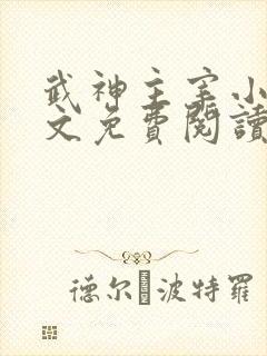 武神主宰小说全文免费阅读无弹窗