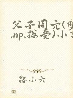 父子同穴(双性,np.总受)小说