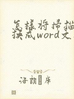 怎样将扫描件转换成word文档