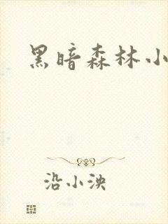 黑暗森林小说