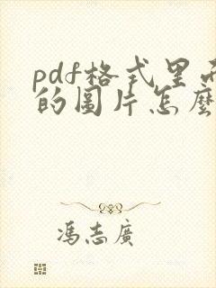 pdf格式里面的图片怎么导出来