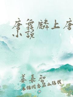 唐舞麟上唐舞桐小说