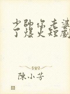 少帅你老婆又跑了爆火短剧