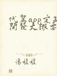 代驾app定制开发大概要多少钱