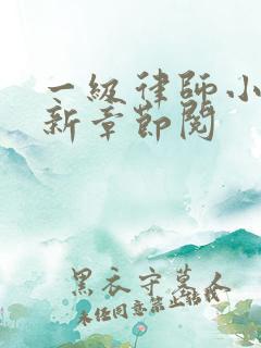 一级律师小说最新章节阅