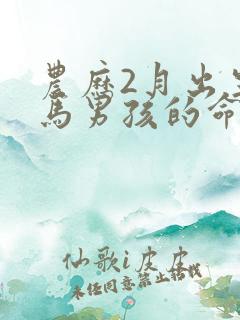 农历2月出生的马男孩的命运