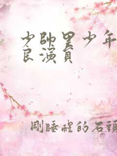 少帅里少年张学良演员