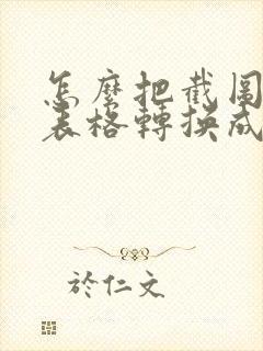 怎么把截图上的表格转换成电子版