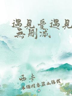 遇见爱遇见幸福 无删减
