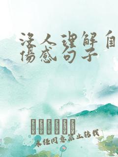 没人理解自己的伤感句子