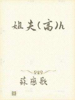 姐夫(高)h