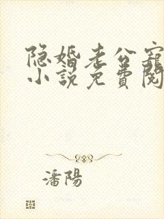 隐婚老公宠翻天小说免费阅读