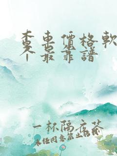 查车价格软件哪个最靠谱