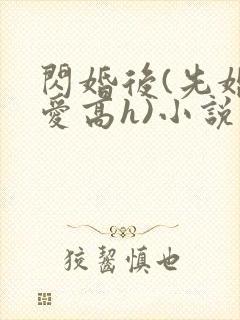 闪婚后(先婚后爱高h)小说