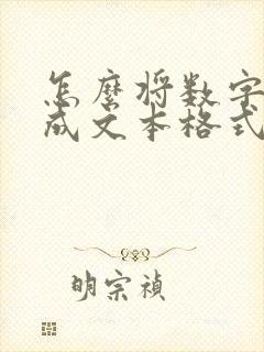 怎么将数字转换成文本格式