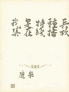 我是特种兵2全集在线播放