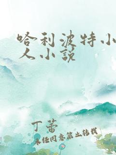 哈利波特小说同人小说