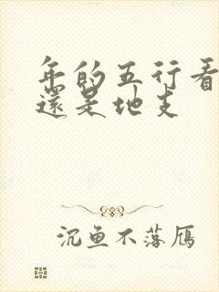 年的五行看天干还是地支