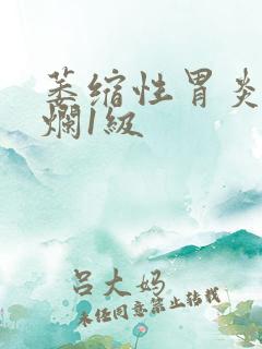 萎缩性胃炎伴糜烂1级