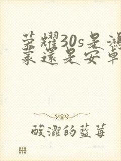 荣耀30s是鸿蒙还是安卓