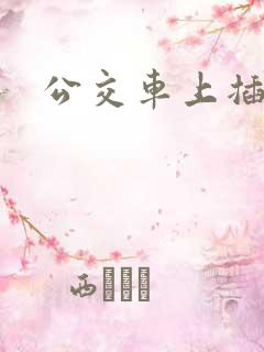 公交车上插入逼
