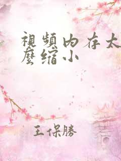 视频内存太大怎么缩小