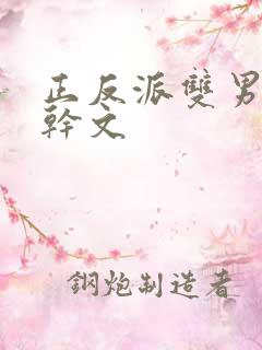 正反派双男主高干文