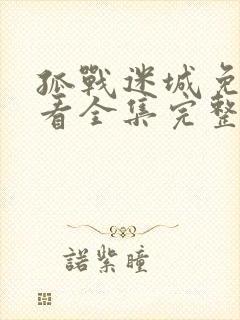 孤战迷城免费观看全集完整版