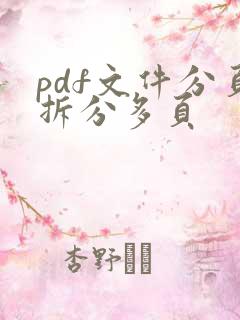 pdf文件分页拆分多页