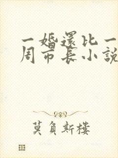 一婚还比一婚高周市长小说