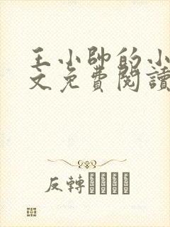 王小帅的小说全文免费阅读无弹窗