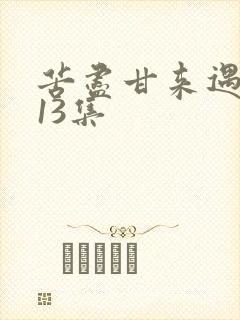 苦尽甘来遇见你13集