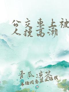 公交车上被陌生人摸高潮