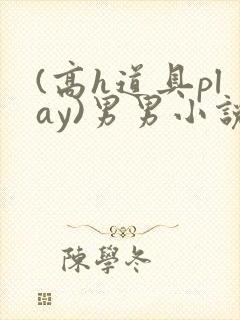 (高h道具play)男男小说