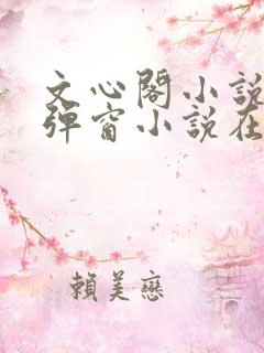 文心阁小说_无弹窗小说在线免费阅读