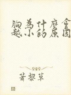 胸为什么会越来越小的原因