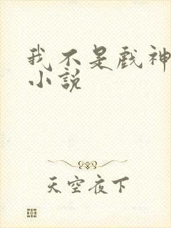 我不是戏神同人小说