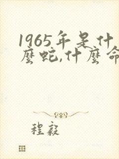 1965年是什么蛇,什么命?