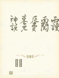 神墓辰南雨馨小说免费阅读无弹窗