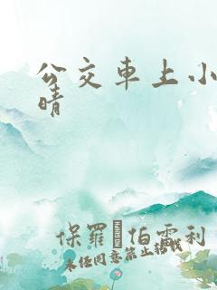 公交车上小说诗晴
