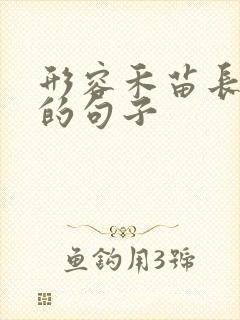 形容禾苗长势好的句子
