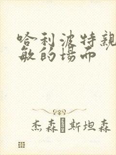 哈利波特亲吻赫敏的场面