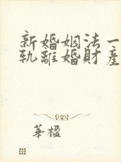 新婚姻法一方出轨离婚财产分割