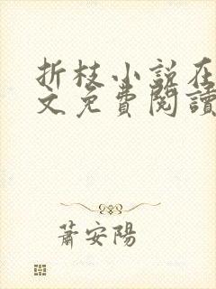折枝小说在线全文免费阅读无弹窗