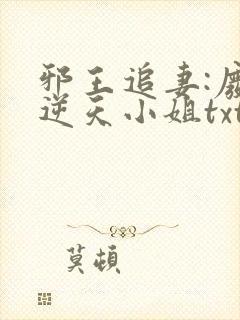 邪王追妻:废材逆天小姐txt