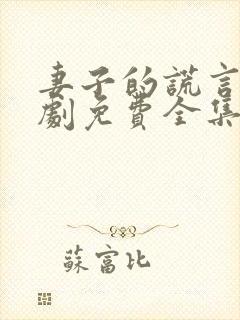 妻子的谎言电视剧免费全集完整版