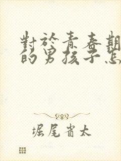 对于青春期叛逆的男孩子怎么办