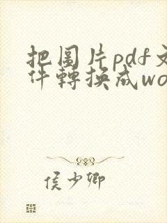 把图片pdf文件转换成word